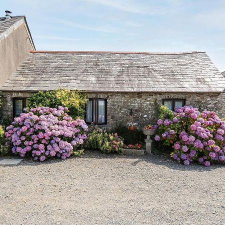 Coach House Cottage Bude Eksteriør billede